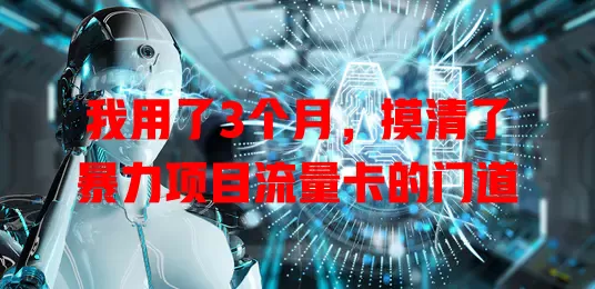 我用了3个月，摸清了暴力项目流量卡的门道