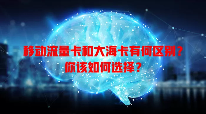 移动流量卡和大海卡有何区别？你该如何选择？
