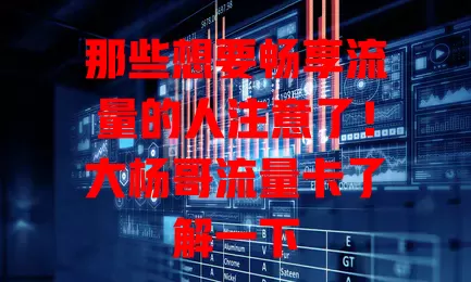 那些想要畅享流量的人注意了！大杨哥流量卡了解一下