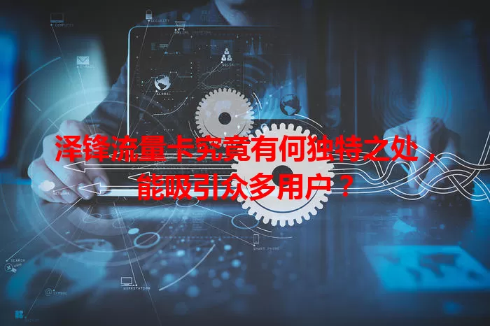 泽锋流量卡究竟有何独特之处，能吸引众多用户？