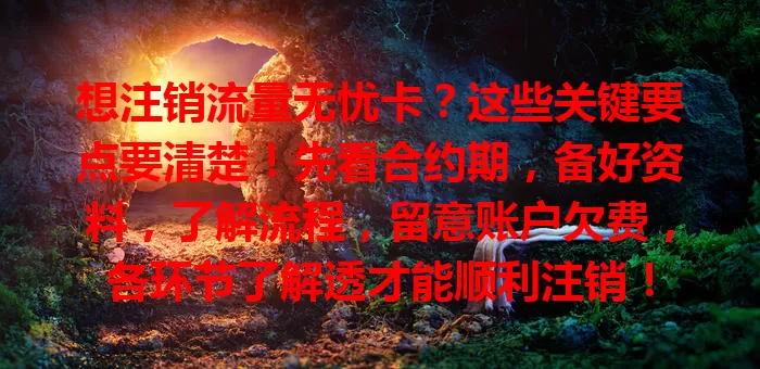 想注销流量无忧卡？这些关键要点要清楚！先看合约期，备好资料，了解流程，留意账户欠费，各环节了解透才能顺利注销！