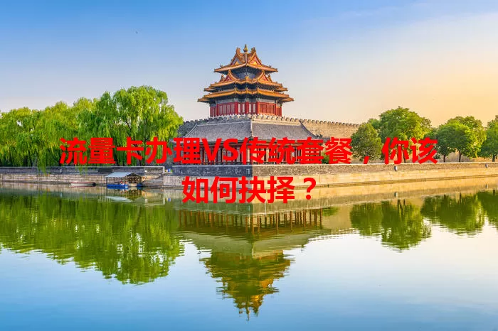 流量卡办理VS传统套餐，你该如何抉择？