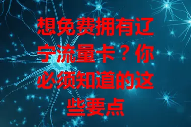 想免费拥有辽宁流量卡？你必须知道的这些要点
