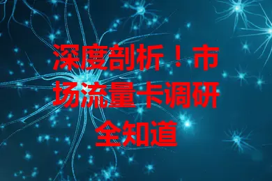 深度剖析！市场流量卡调研全知道