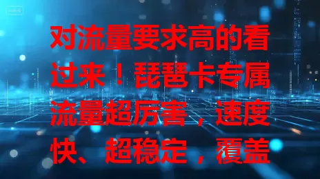 对流量要求高的看过来！琵琶卡专属流量超厉害，速度快、超稳定，覆盖广，满足多样需求，告别流量烦恼