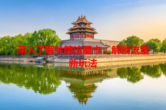 深入了解兰陵流量卡，解锁流量新玩法