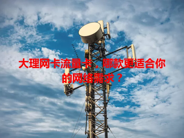 大理网卡流量卡，哪款更适合你的网络需求？