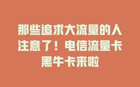 那些追求大流量的人注意了！电信流量卡黑牛卡来啦