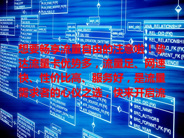 想要畅享流量自由的注意啦！挚达流量卡优势多，流量足、网速快、性价比高、服务好，是流量需求者的心仪之选，快来开启流量自由之旅