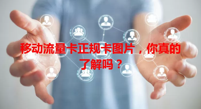 移动流量卡正规卡图片，你真的了解吗？
