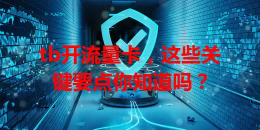 tb开流量卡，这些关键要点你知道吗？