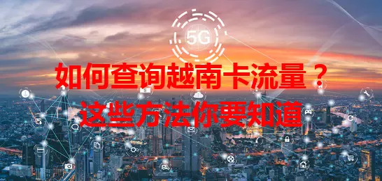如何查询越南卡流量？这些方法你要知道