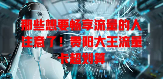 那些想要畅享流量的人注意了！贵阳大王流量卡超划算