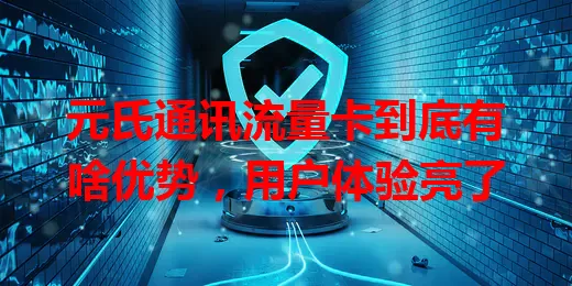 元氏通讯流量卡到底有啥优势，用户体验亮了