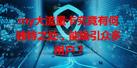 my大流量卡究竟有何独特之处，能吸引众多用户？