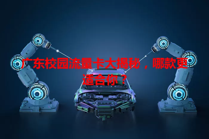 广东校园流量卡大揭秘，哪款更适合你？