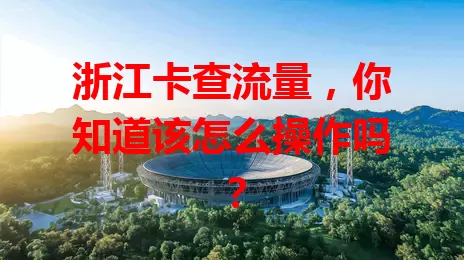 浙江卡查流量，你知道该怎么操作吗？