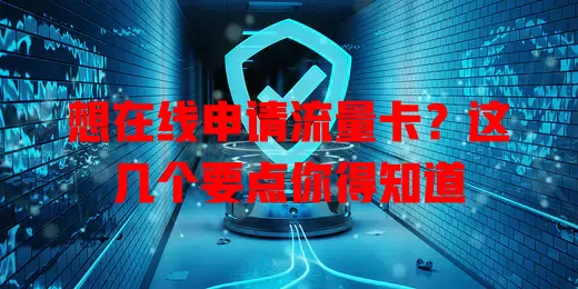 想在线申请流量卡？这几个要点你得知道