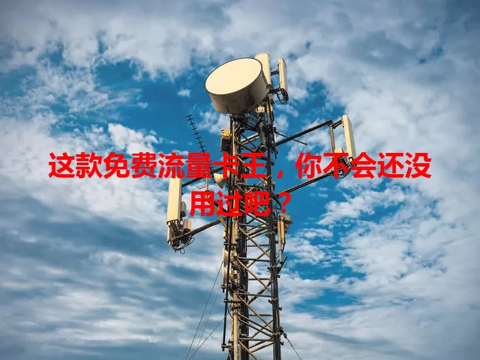 这款免费流量卡王，你不会还没用过吧？
