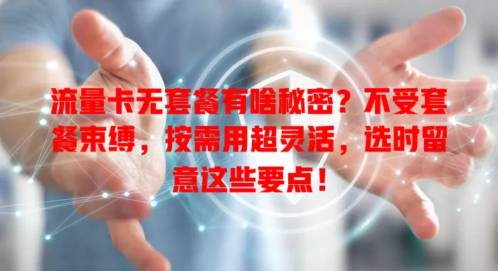 流量卡无套餐有啥秘密？不受套餐束缚，按需用超灵活，选时留意这些要点！