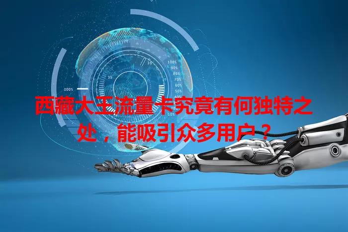西藏大王流量卡究竟有何独特之处，能吸引众多用户？