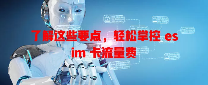 了解这些要点，轻松掌控 esim 卡流量费