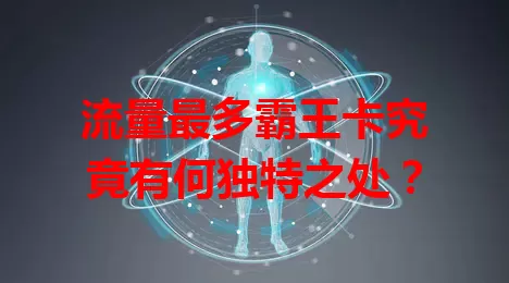 流量最多霸王卡究竟有何独特之处？