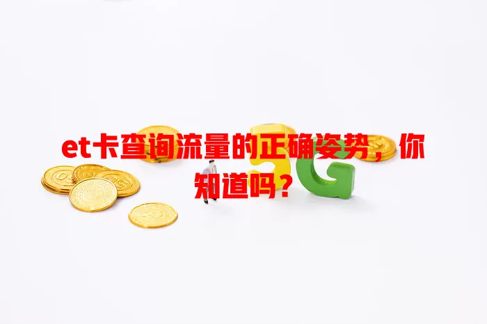 et卡查询流量的正确姿势，你知道吗？