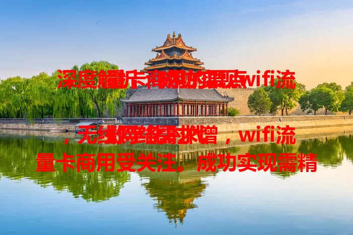 深度解析：成功实现wifi流量卡商用的要点

数字化时代，无线网络需求增，wifi流量卡商用受关注。成功实现需精准定位目标客户，了解行业需求；提供优质网络服务；合理制定套餐价格；做好客户服务，多方面提升竞争力。