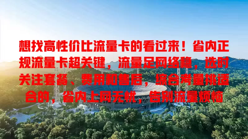 想找高性价比流量卡的看过来！省内正规流量卡超关键，流量足网络稳，选时关注套餐、费用和售后，综合考量挑适合的，省内上网无忧，告别流量烦恼