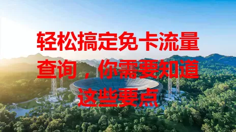 轻松搞定免卡流量查询，你需要知道这些要点