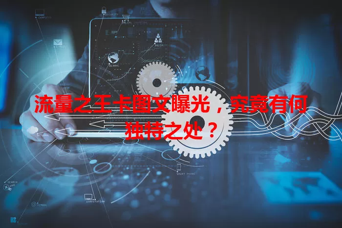 流量之王卡图文曝光，究竟有何独特之处？