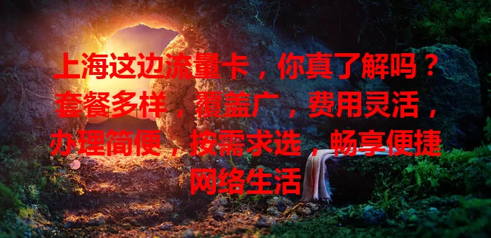 上海这边流量卡，你真了解吗？套餐多样，覆盖广，费用灵活，办理简便，按需求选，畅享便捷网络生活