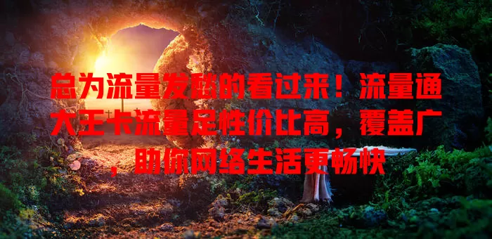 总为流量发愁的看过来！流量通大王卡流量足性价比高，覆盖广，助你网络生活更畅快