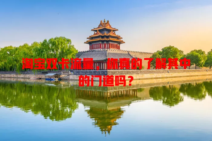 淘宝双卡流量，你真的了解其中的门道吗？