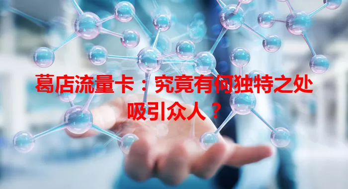 葛店流量卡：究竟有何独特之处吸引众人？