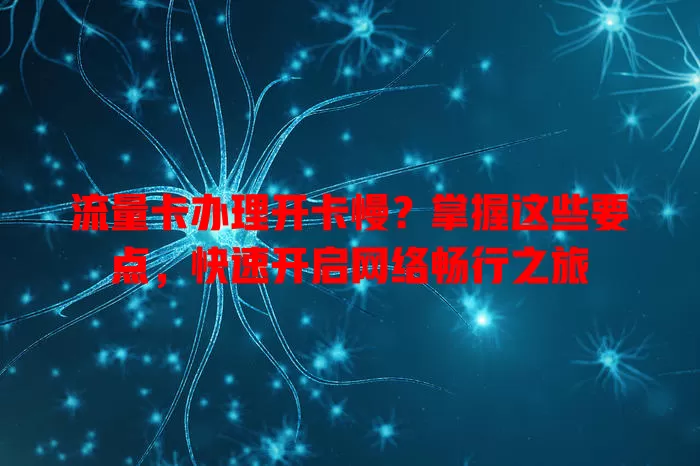 流量卡办理开卡慢？掌握这些要点，快速开启网络畅行之旅