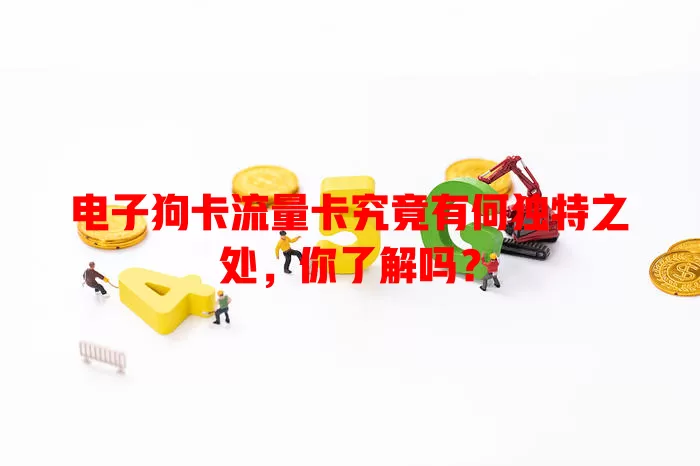 电子狗卡流量卡究竟有何独特之处，你了解吗？