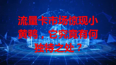 流量卡市场惊现小黄鸭，它究竟有何独特之处？