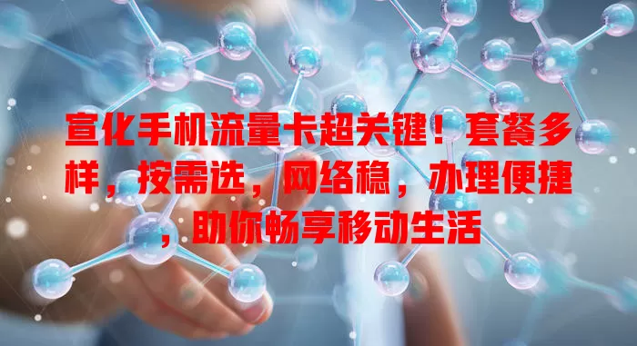 宣化手机流量卡超关键！套餐多样，按需选，网络稳，办理便捷，助你畅享移动生活