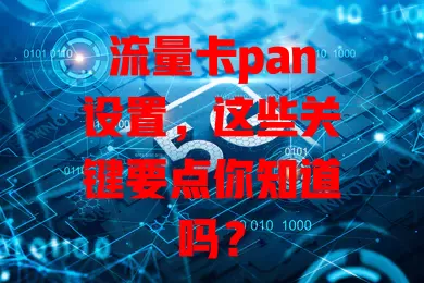 流量卡pan设置，这些关键要点你知道吗？