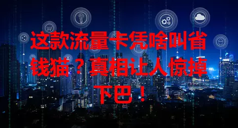 这款流量卡凭啥叫省钱猫？真相让人惊掉下巴！