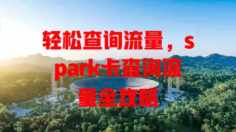 轻松查询流量，spark卡查询流量全攻略
