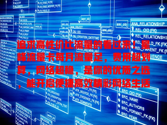 追求高性价比流量的看过来！星峰流量卡每月流量足，费用超划算，网络超稳，是你的优质之选，能开启便捷高效精彩网络生活新篇章！