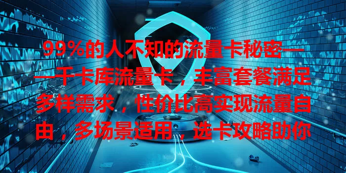 99%的人不知的流量卡秘密——千卡库流量卡，丰富套餐满足多样需求，性价比高实现流量自由，多场景适用，选卡攻略助你畅享便捷实惠通信服务