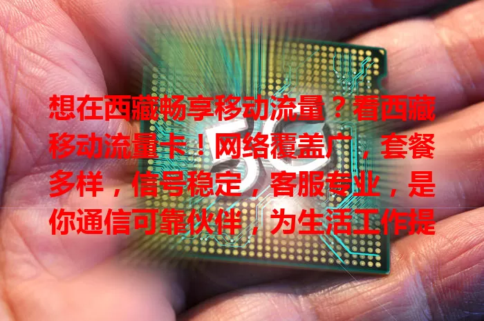 想在西藏畅享移动流量？看西藏移动流量卡！网络覆盖广，套餐多样，信号稳定，客服专业，是你通信可靠伙伴，为生活工作提供有力网络支持