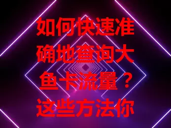 如何快速准确地查询大鱼卡流量？这些方法你要知道！
