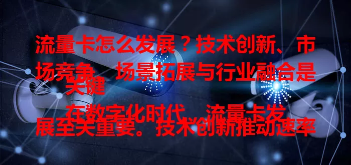 流量卡怎么发展？技术创新、市场竞争、场景拓展与行业融合是关键
在数字化时代，流量卡发展至关重要。技术创新推动速率提升，市场竞争促优化，应用场景拓展带来新机遇，与多行业融合扩大范围，前景广阔，将不断进化满足数字化需求。