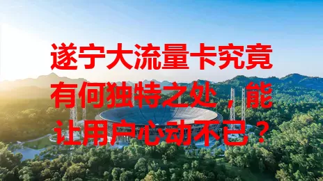 遂宁大流量卡究竟有何独特之处，能让用户心动不已？