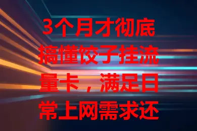 3个月才彻底搞懂饺子挂流量卡，满足日常上网需求还超实用